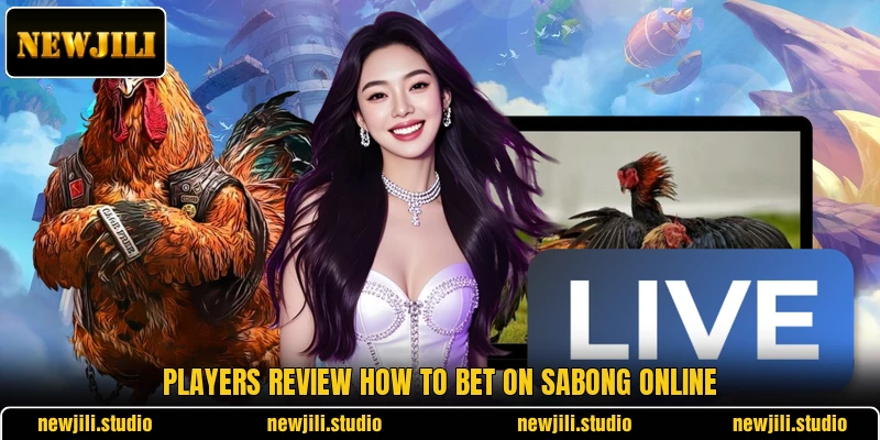 Players review how to bet on sabong online Players review how to bet on sabong online