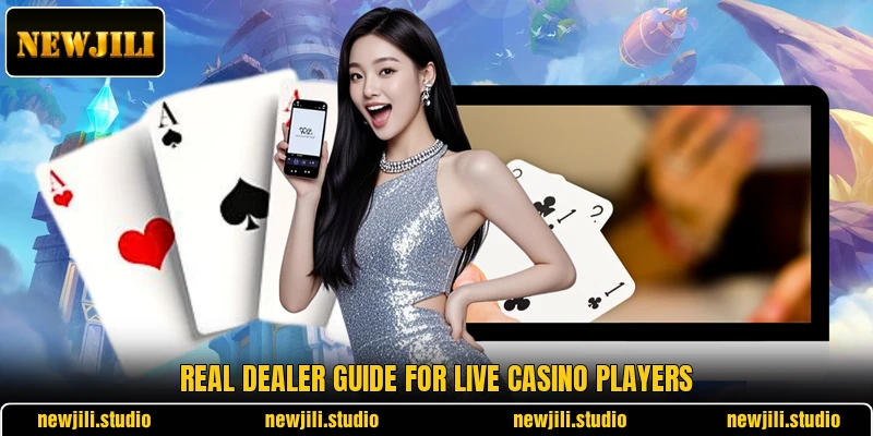 Real dealer guide for live casino players